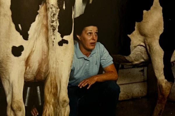 JCRB tour members get a chance to milk cows (August 1986).